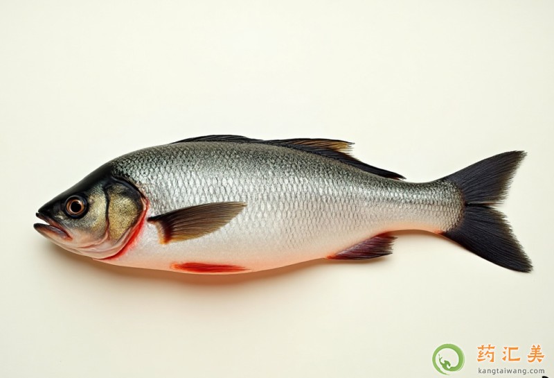 失眠可以吃鱸魚 失眠可以吃鱸魚