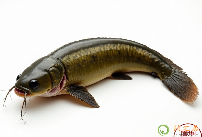 失眠可以吃鯰魚 失眠可以吃鯰魚