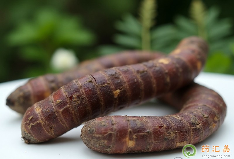 補腎吃肉蓯蓉好 補腎吃肉蓯蓉好