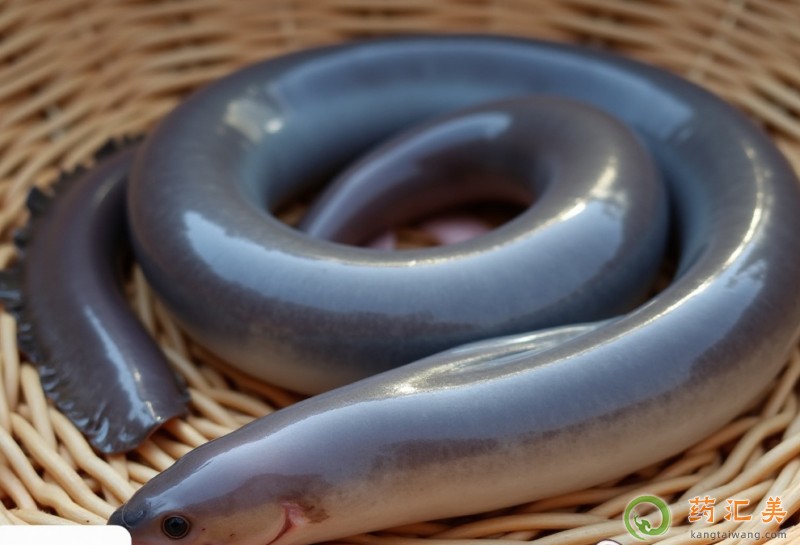 鰻魚和什么相克不能一起吃 鰻魚和什么相克不能一起吃