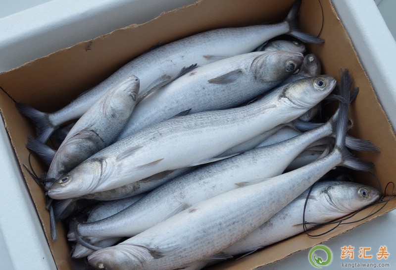 ~ĠI(yng)B(yng)r(ji)ֵ