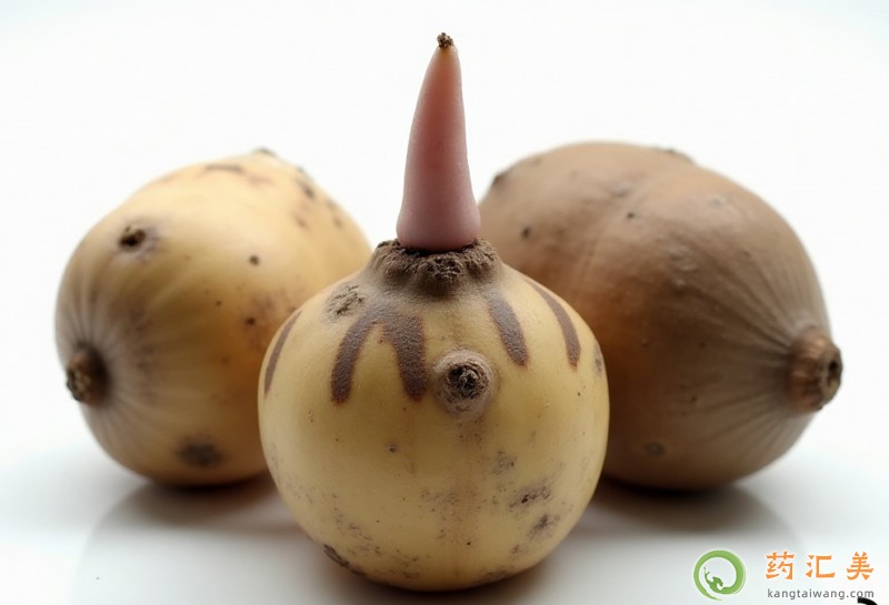 膽結石能吃魔芋嗎 膽結石能吃魔芋嗎