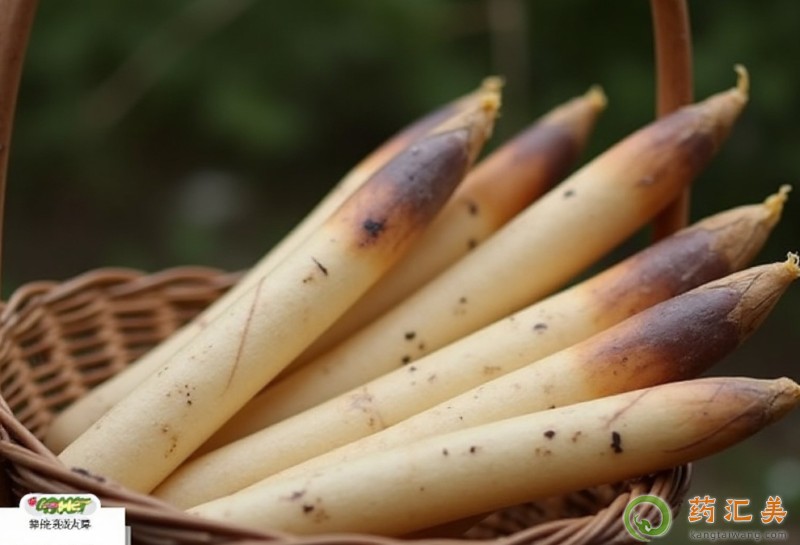 胰腺炎恢復(fù)期能吃春筍嗎 胰腺炎恢復(fù)期能吃春筍嗎