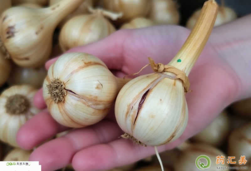 吃慈姑有什么好處 吃慈姑有什么好處