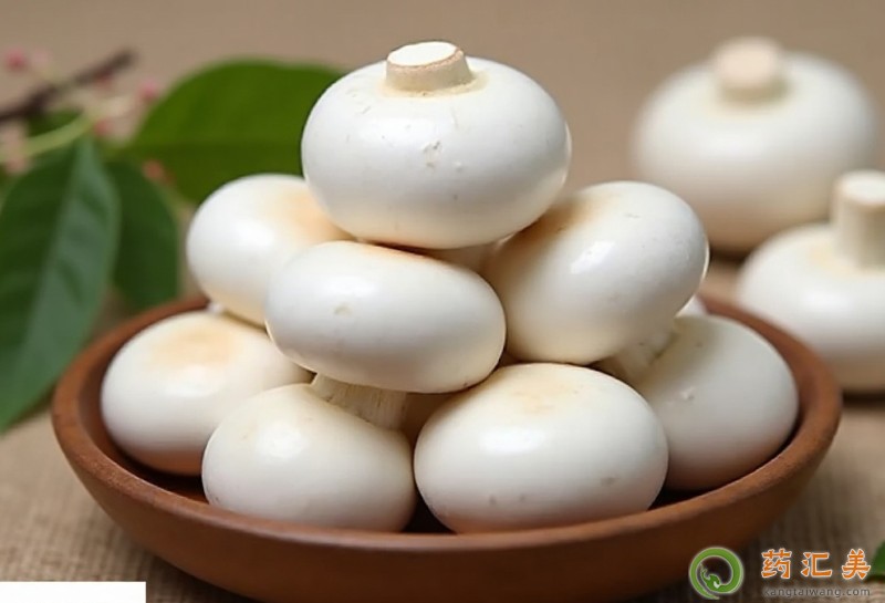 膽結(jié)石能吃口蘑嗎 膽結(jié)石能吃口蘑嗎