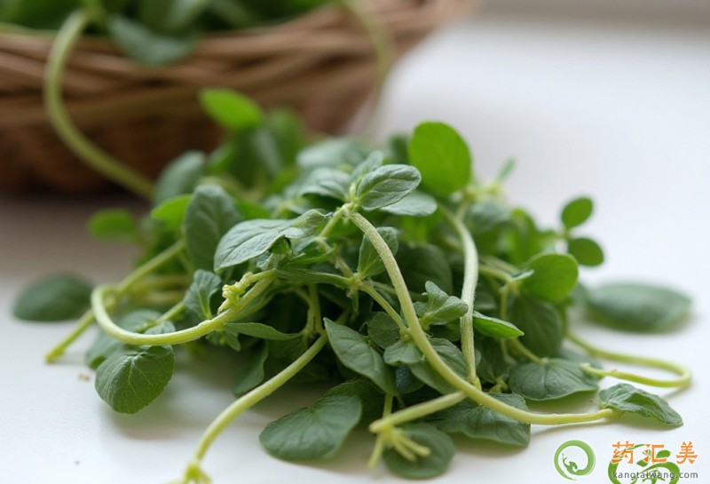 吃苜蓿有什么好處 吃苜蓿有什么好處