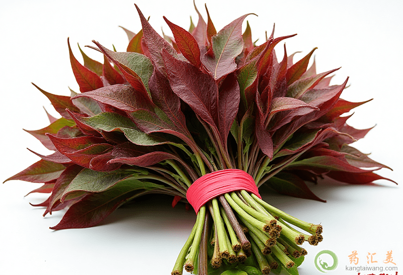 香椿的營養價值 香椿的營養價值