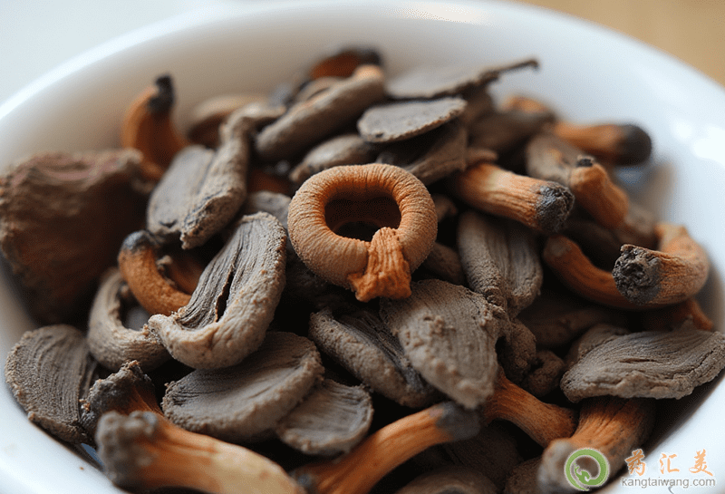 榛蘑的營養(yǎng)價(jià)值 榛蘑的營養(yǎng)價(jià)值