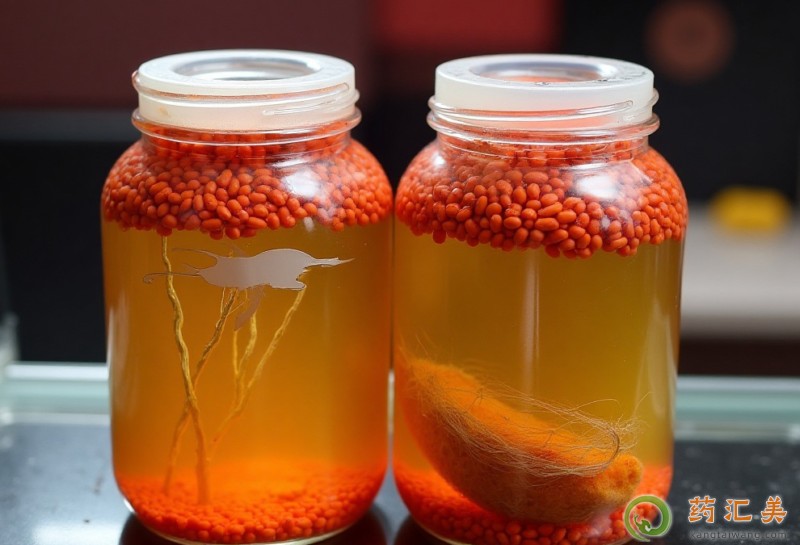 如何自制補(bǔ)腎酒 如何自制補(bǔ)腎酒