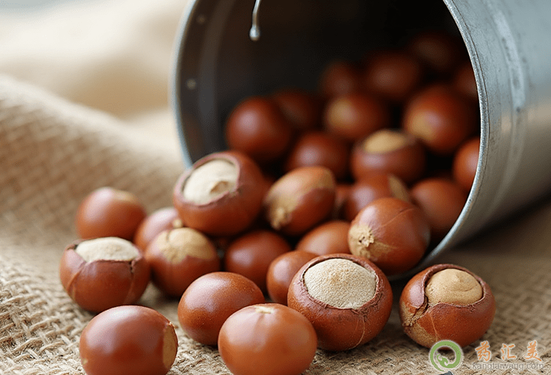 榛子的營(yíng)養(yǎng)價(jià)值 榛子的營(yíng)養(yǎng)價(jià)值