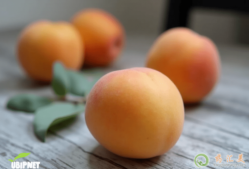 黃金蜜桃的營養(yǎng)價值 黃金蜜桃的營養(yǎng)價值