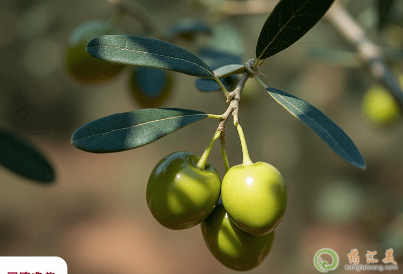 感冒咳嗽吃的食物 感冒咳嗽吃的食物